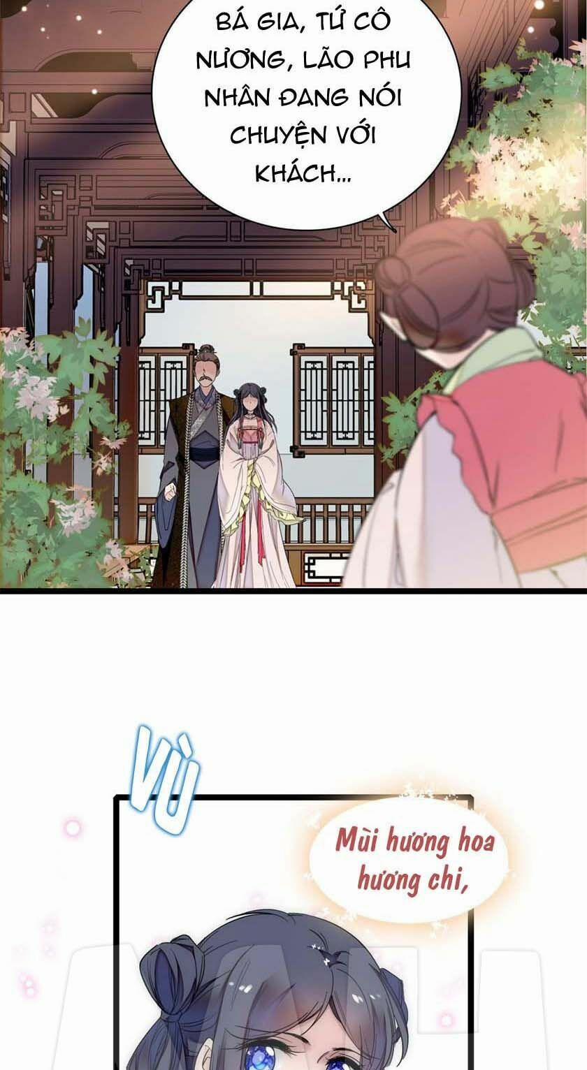 Tự Cẩm 8 trang 11