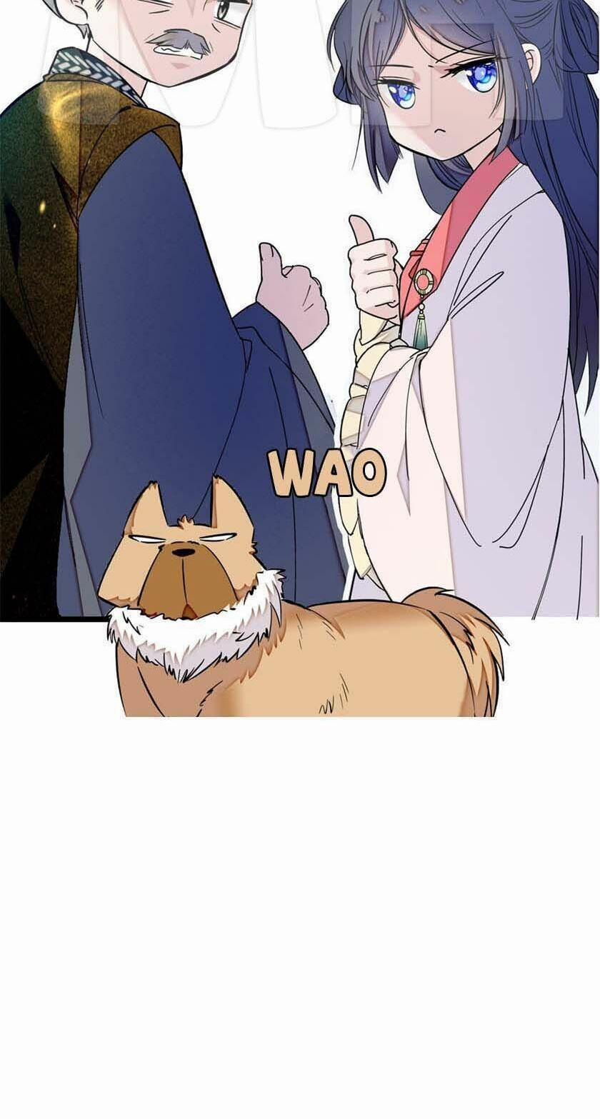 Tự Cẩm 9 trang 34