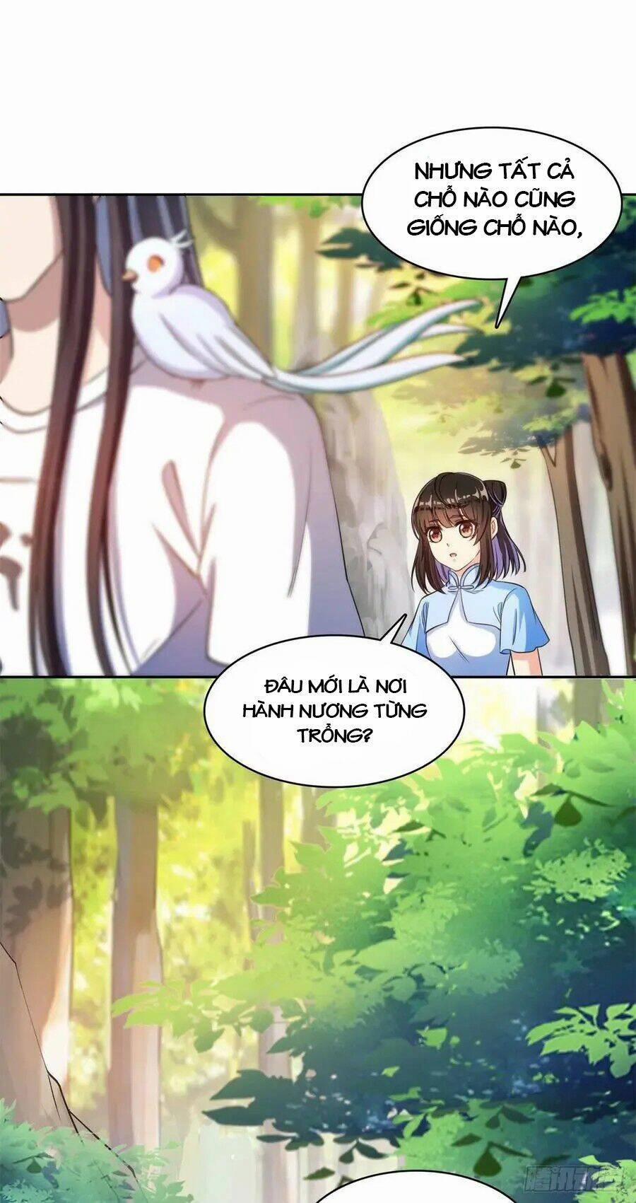 Tu Chân Nói Chuyện Phiếm Quần 405 trang 12