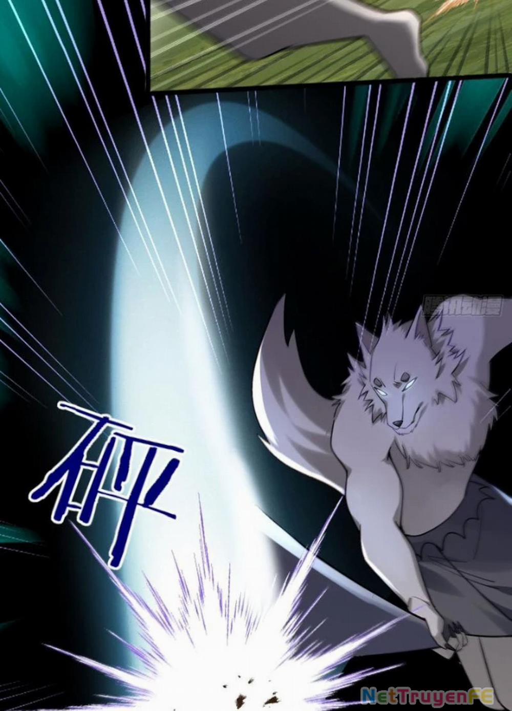 Từ Dã Quái Bắt Đầu Thăng Cấp 2 trang 13