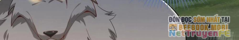 Từ Dã Quái Bắt Đầu Thăng Cấp 2 trang 80