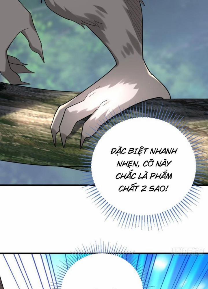 Từ Dã Quái Bắt Đầu Thăng Cấp 4 trang 11