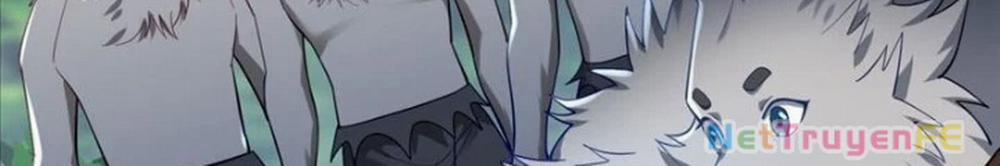 Từ Dã Quái Bắt Đầu Thăng Cấp 6 trang 4