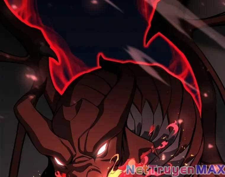 Tử Linh Sư Mạnh Nhất 25 trang 263