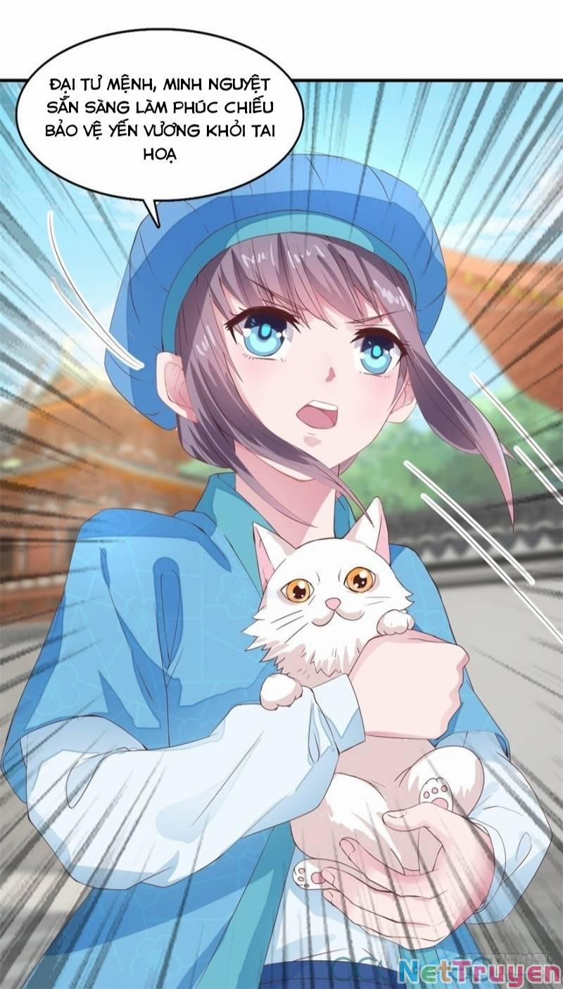 Tư Sủng Âm Dương Phi 20 trang 20