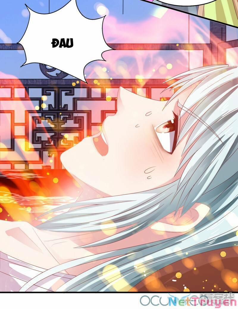 Tư Sủng Âm Dương Phi 23 trang 19