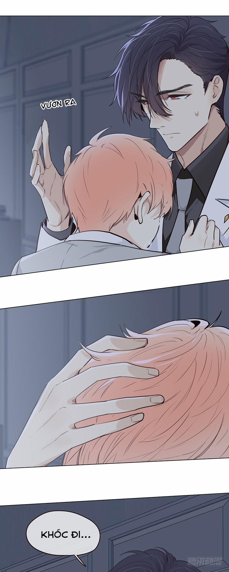 Tương Nhu Dịch Mộc 28 trang 6