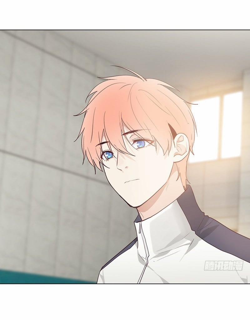 Tương Nhu Dịch Mộc 51 trang 5