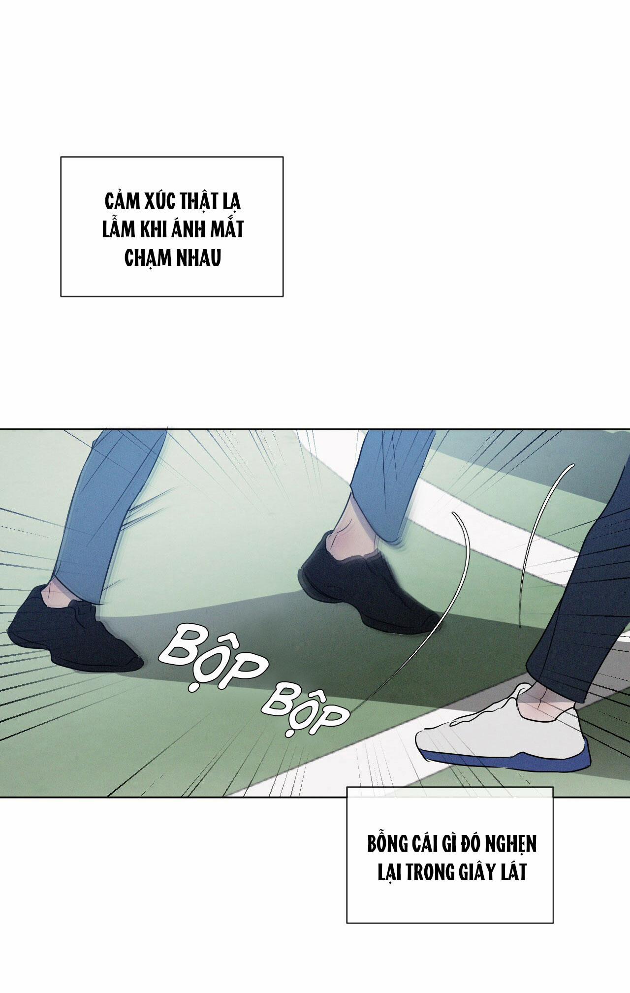 Tương Phản 1.1 trang 40