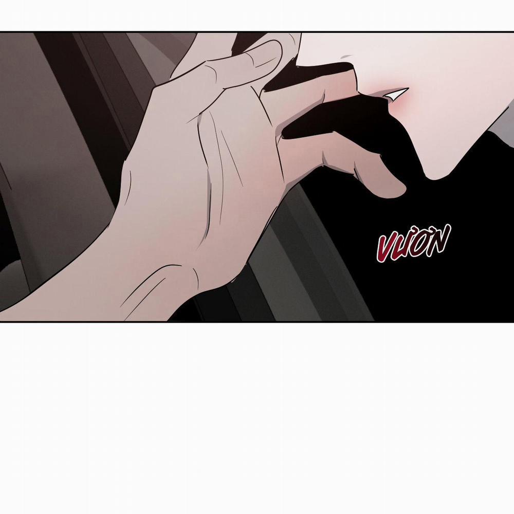 Tương Phản 10 trang 114