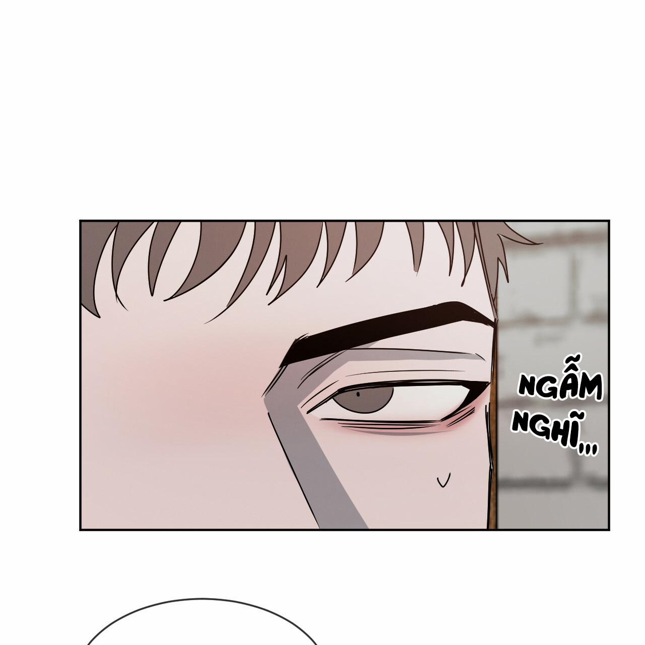 Tương Phản 11.2 trang 40