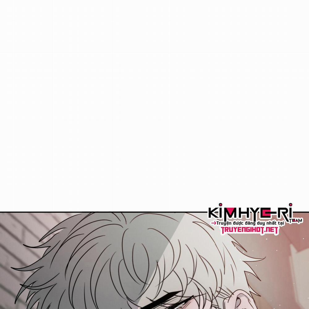 Tương Phản 11 trang 135