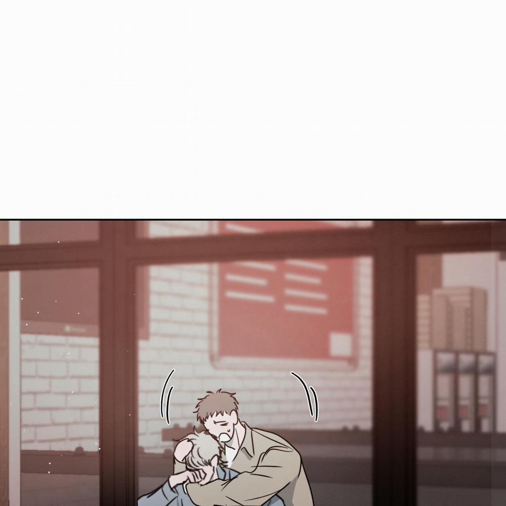 Tương Phản 11 trang 142