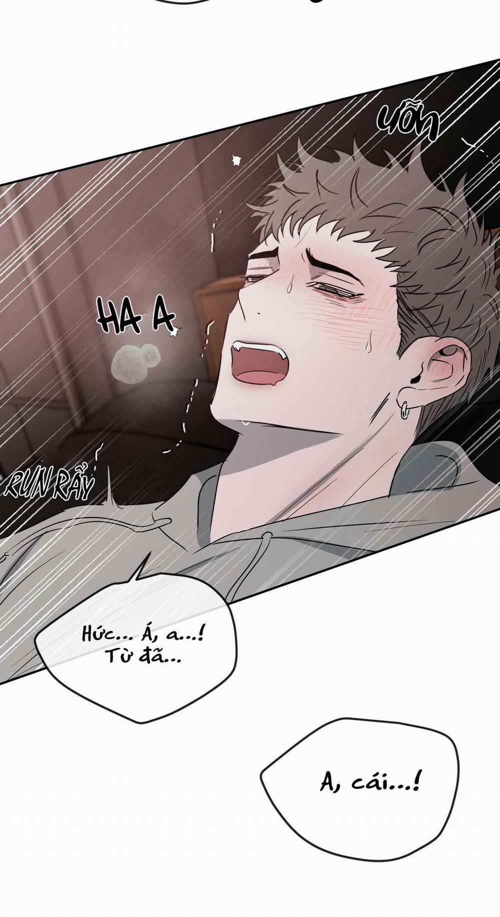 Tương Phản 13 trang 33