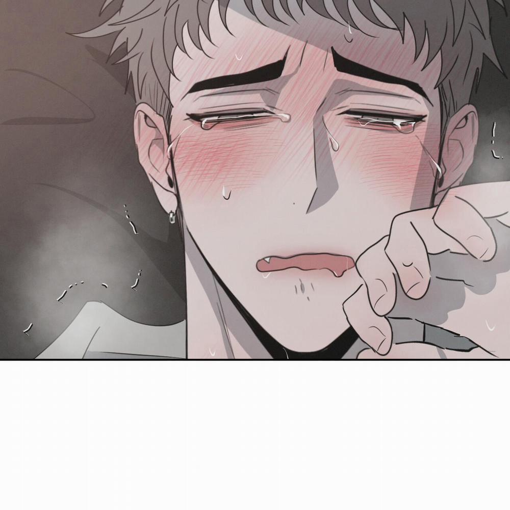 Tương Phản 16 trang 38