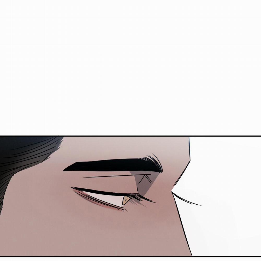 Tương Phản 19 trang 43