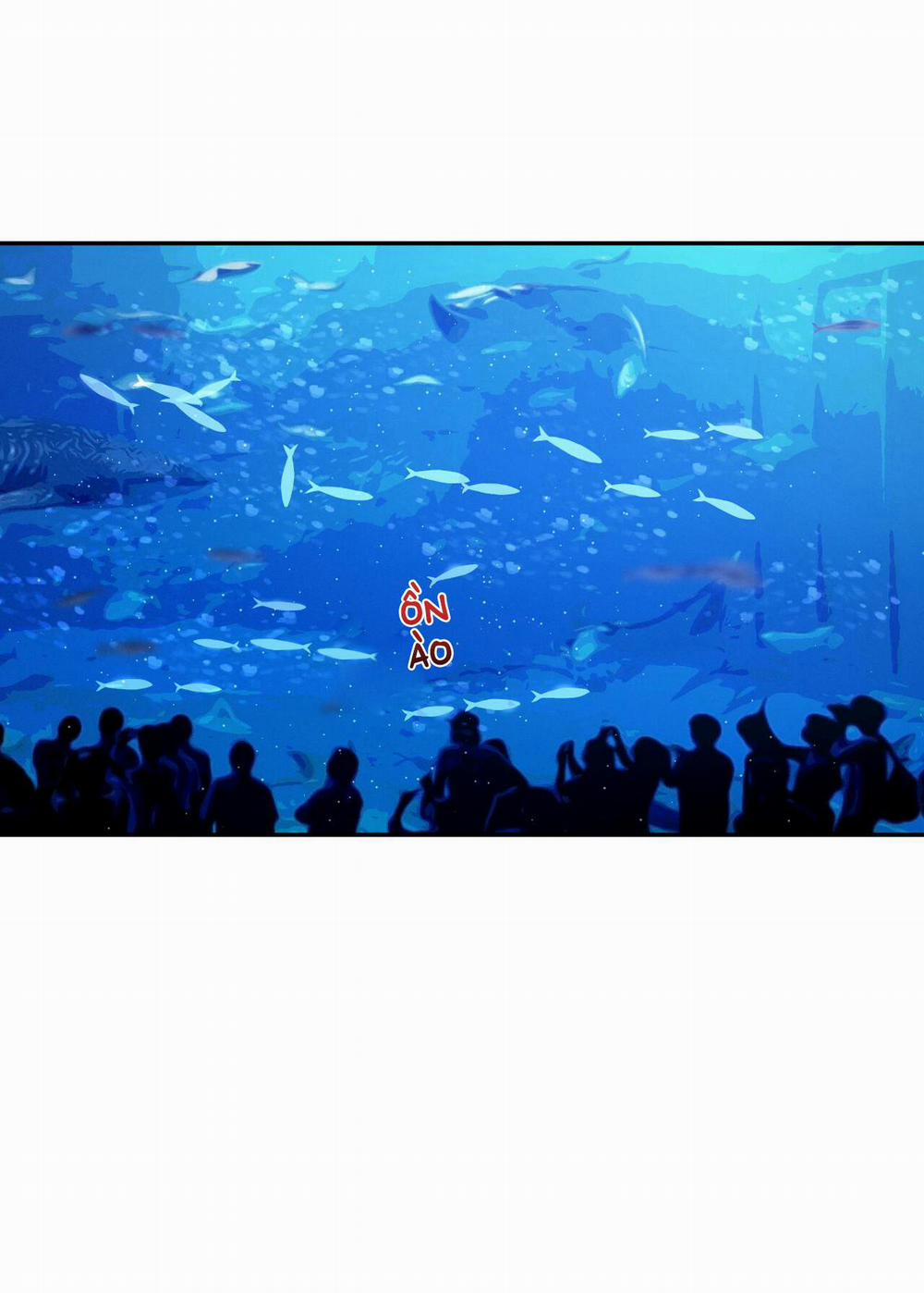 Tương Phản 21 trang 15