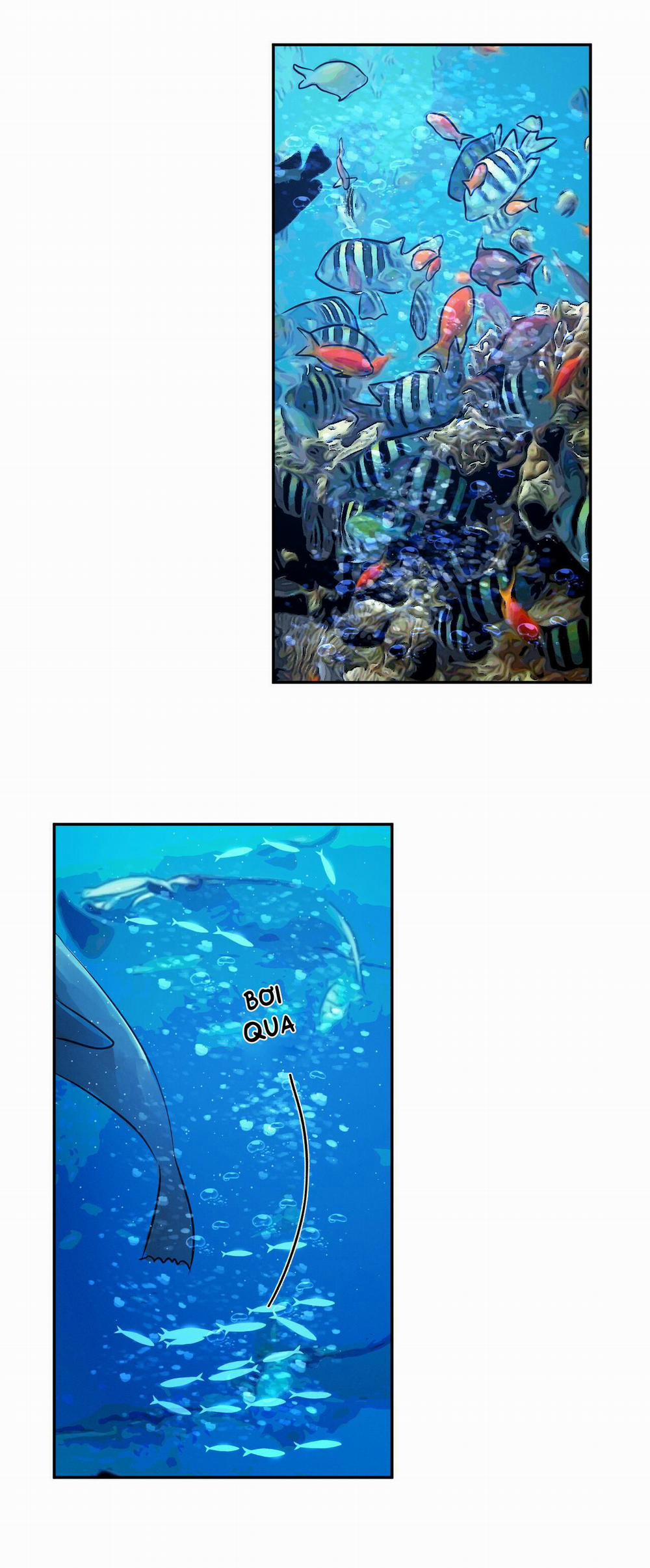 Tương Phản 21 trang 17