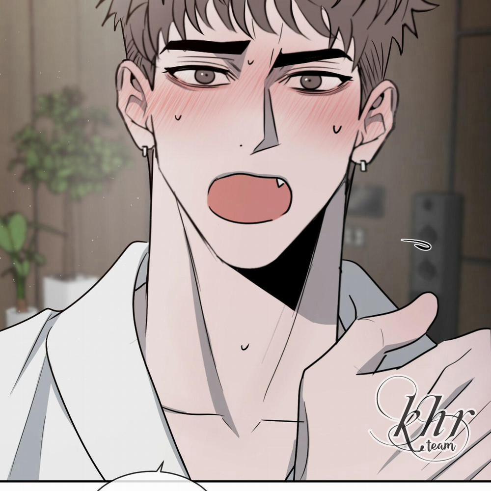 Tương Phản 22 trang 74