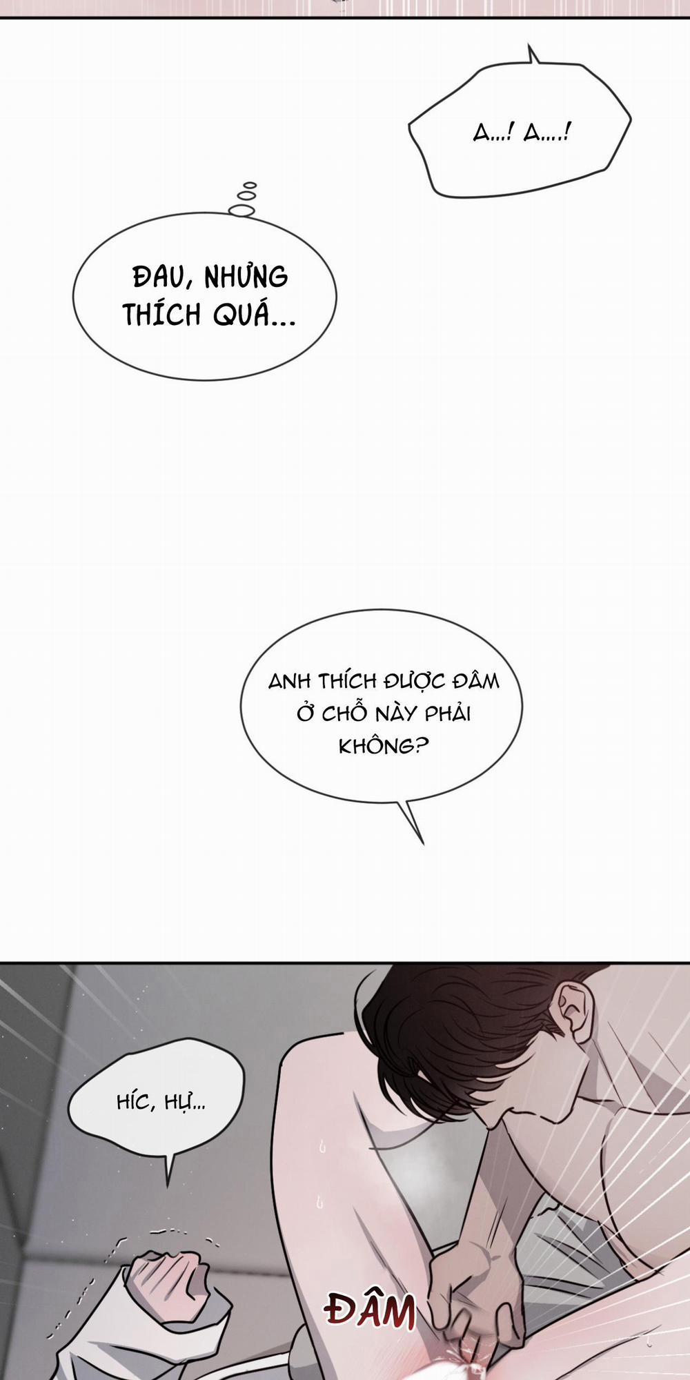 Tương Phản 23 trang 47