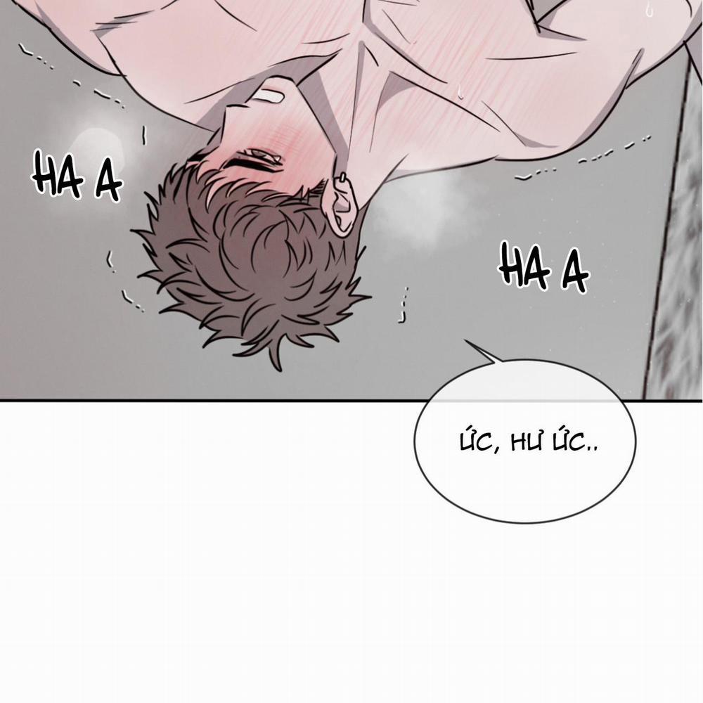 Tương Phản 23 trang 56