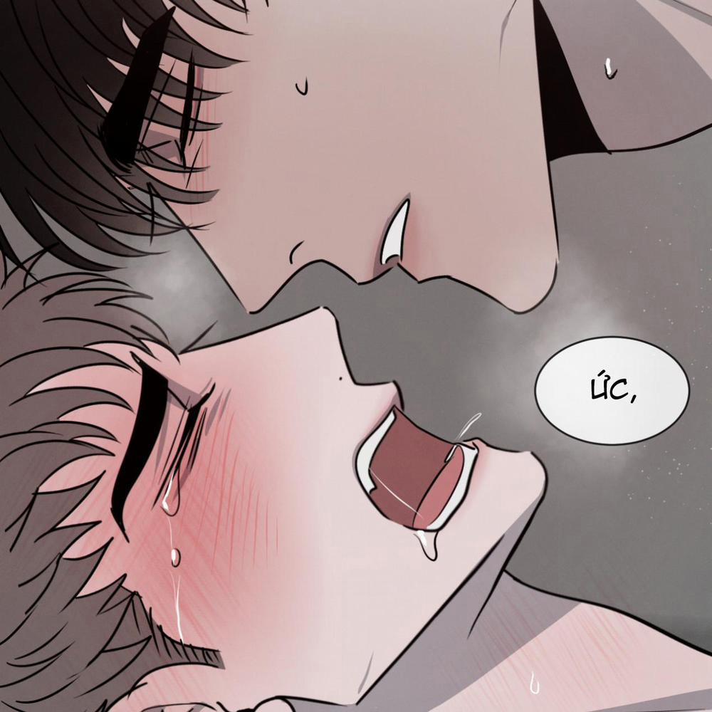 Tương Phản 23 trang 65