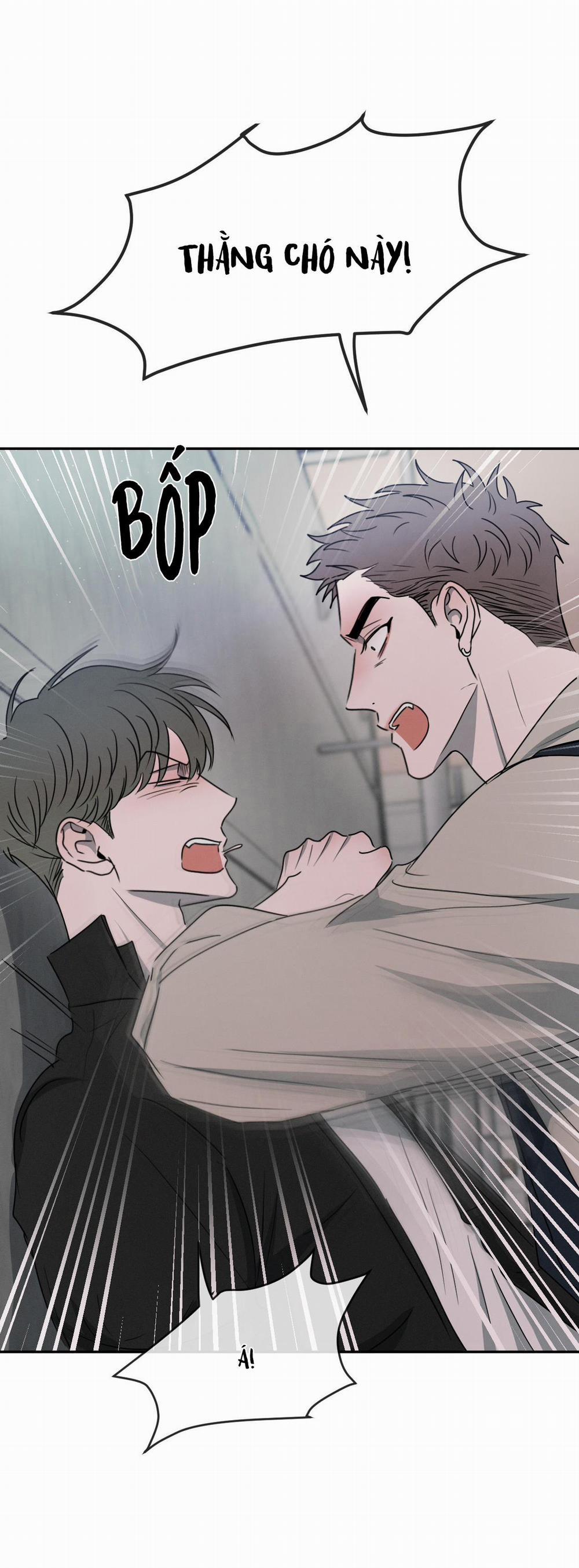 Tương Phản 29 trang 55