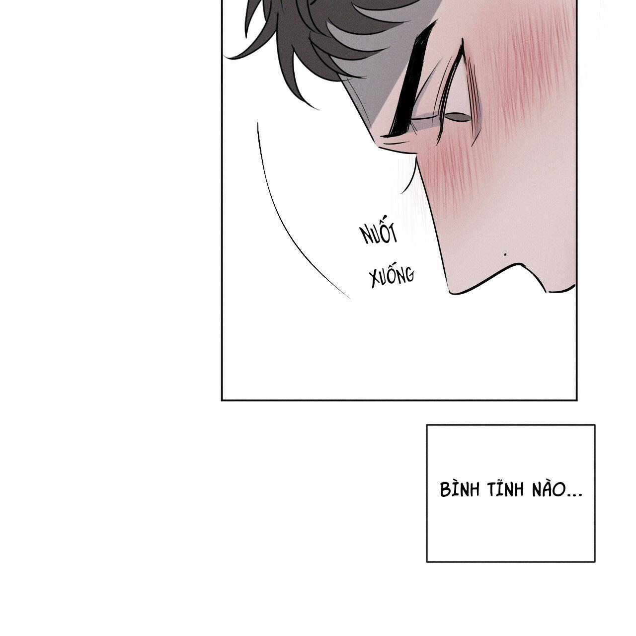 Tương Phản 3.1 trang 55