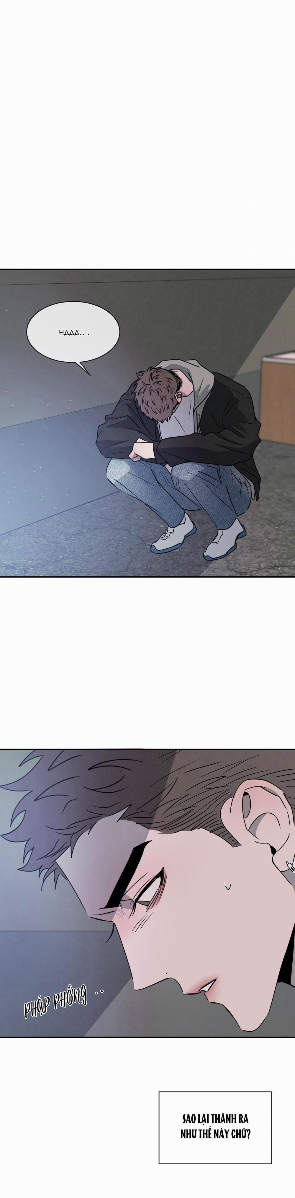 Tương Phản 30 trang 24