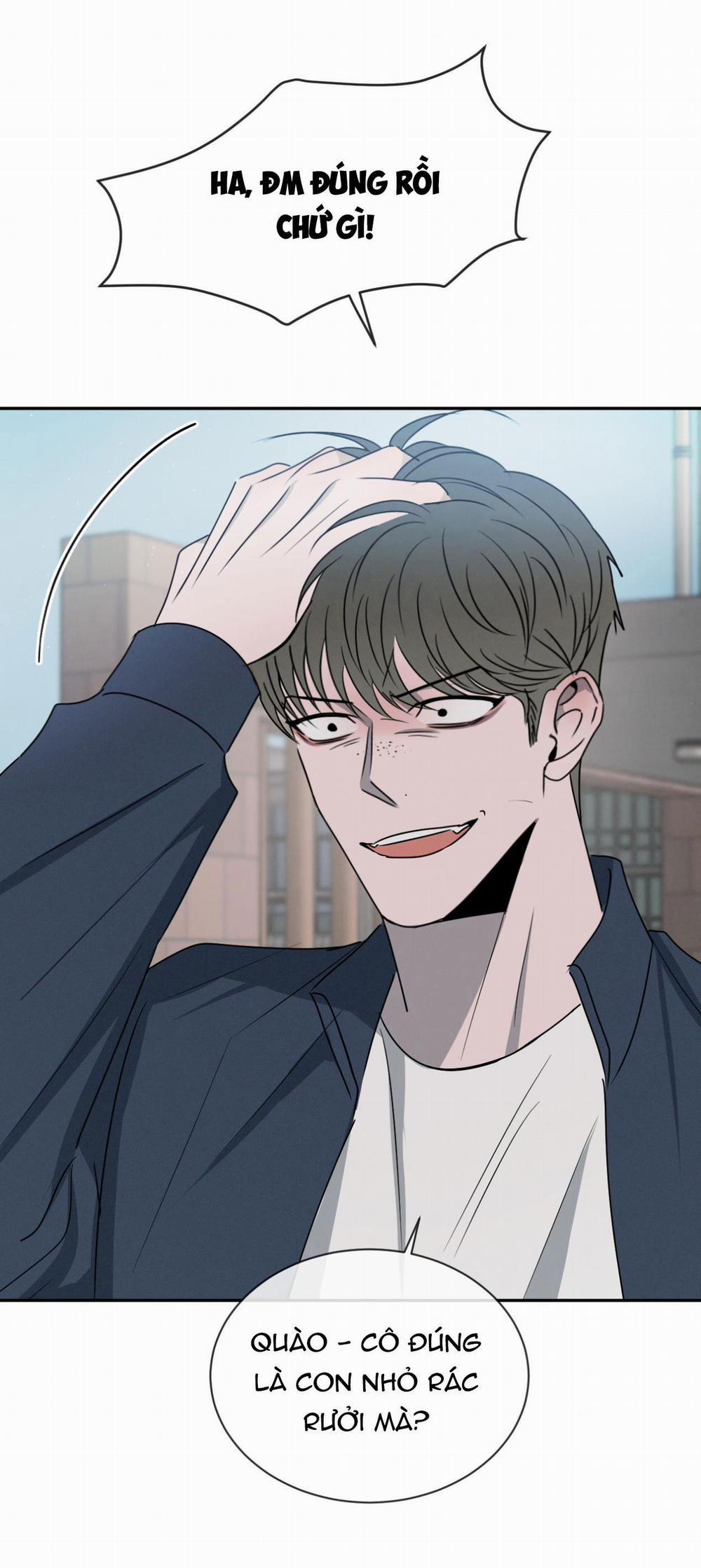 Tương Phản 31 trang 46