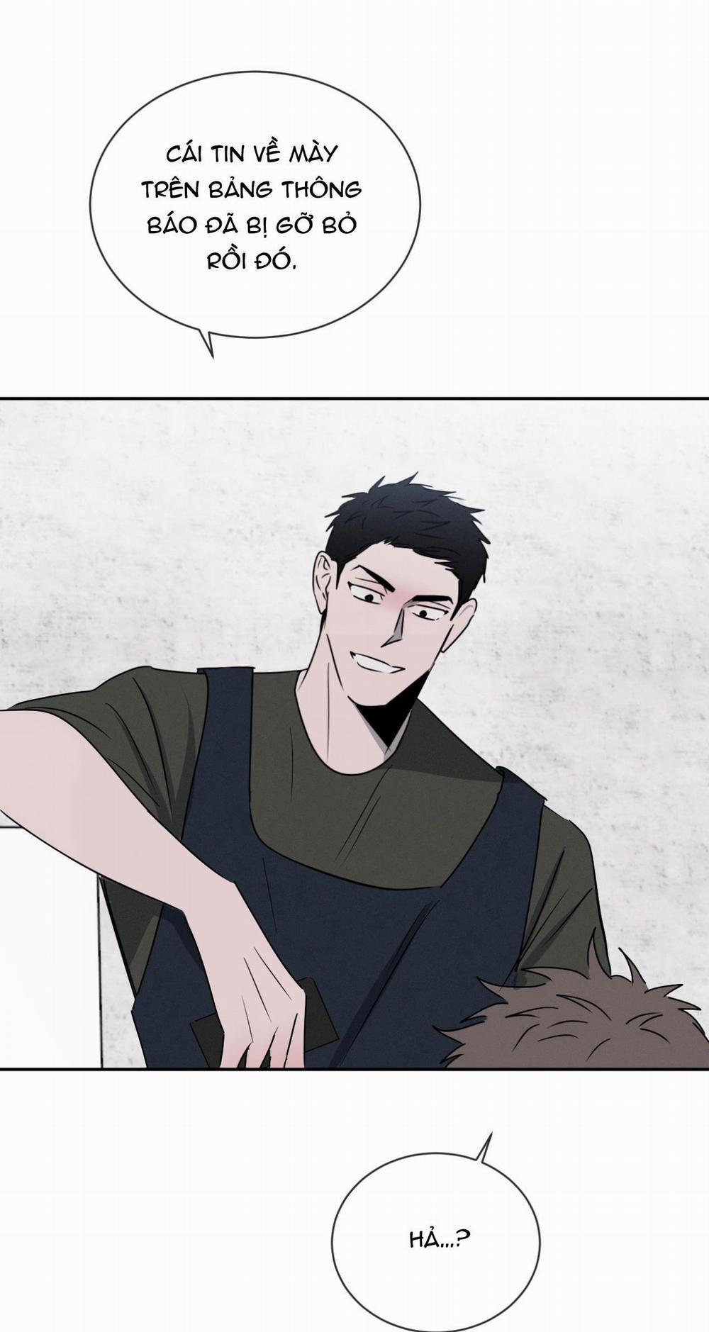 Tương Phản 31 trang 70