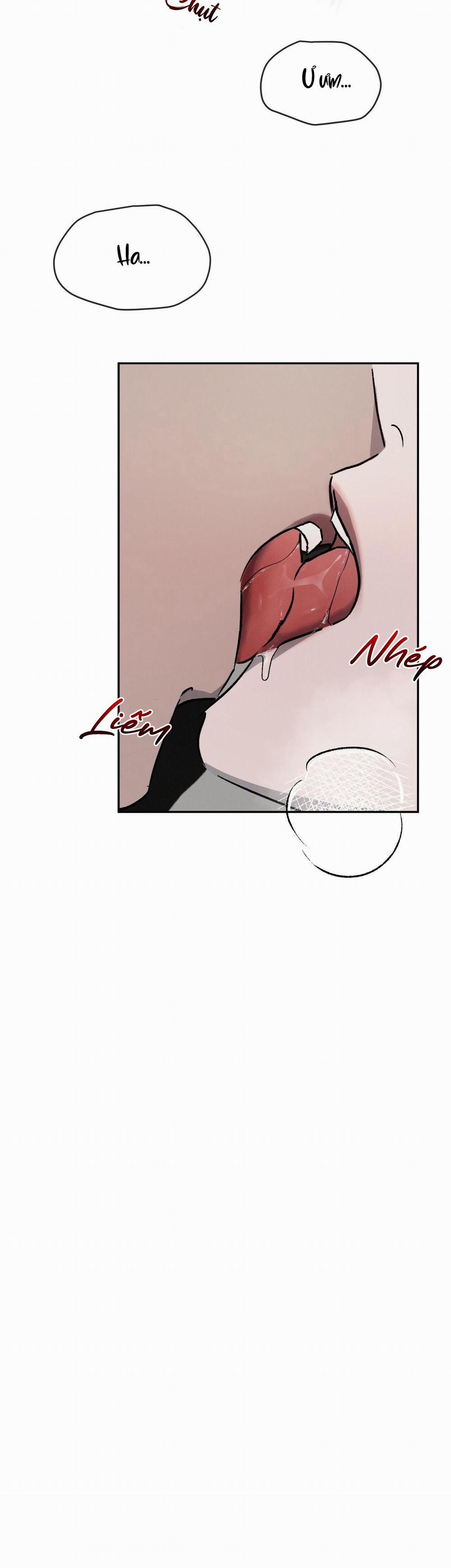 Tương Phản 36 trang 12