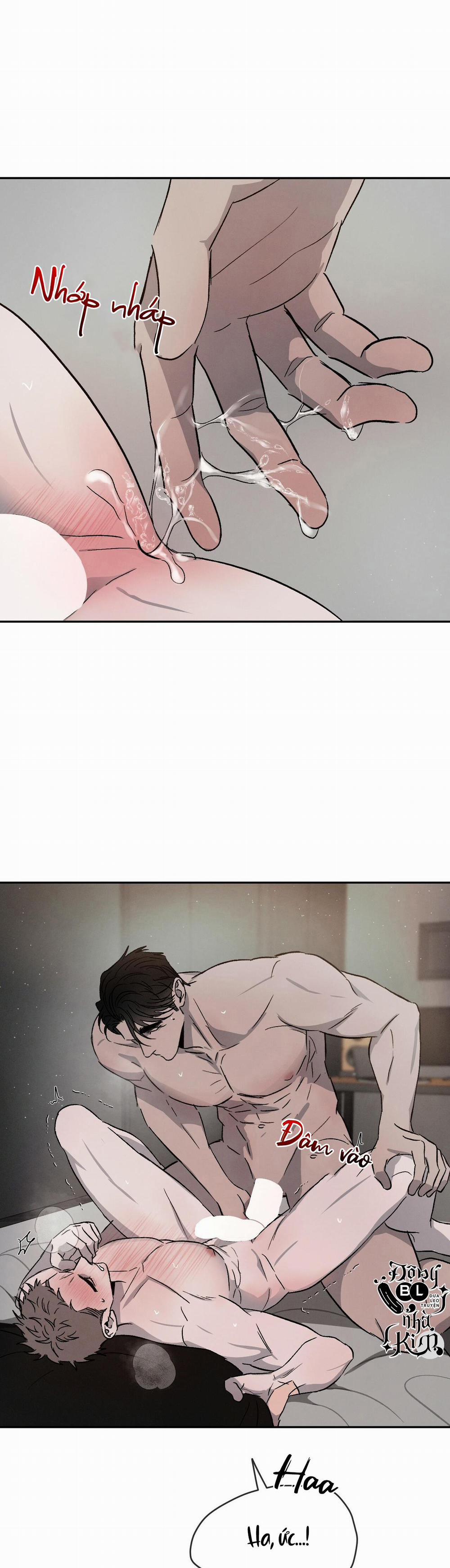 Tương Phản 36 trang 13