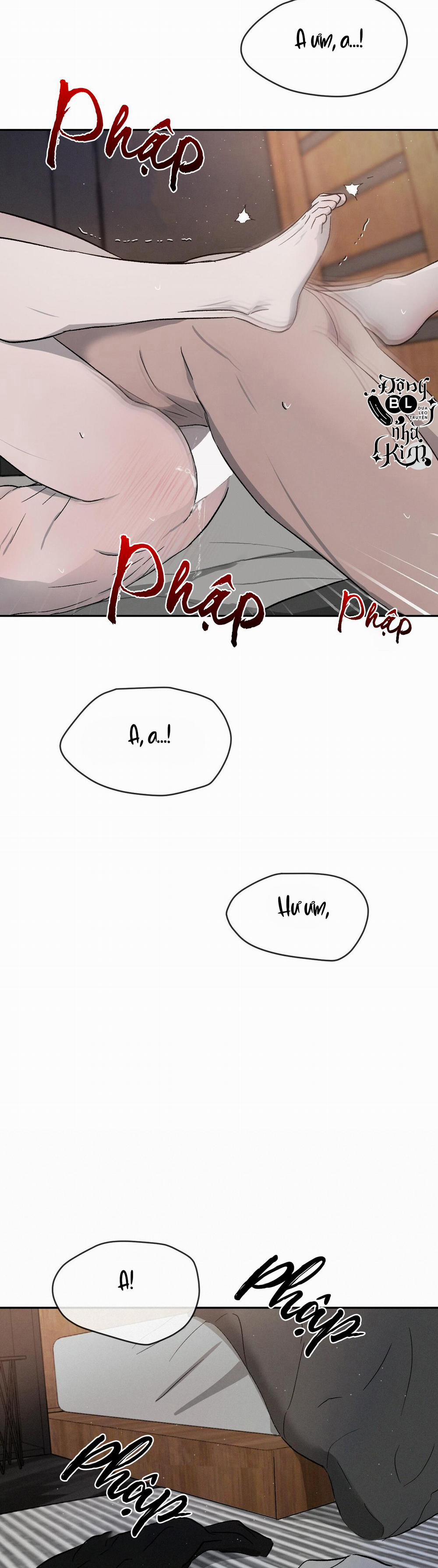 Tương Phản 36 trang 29