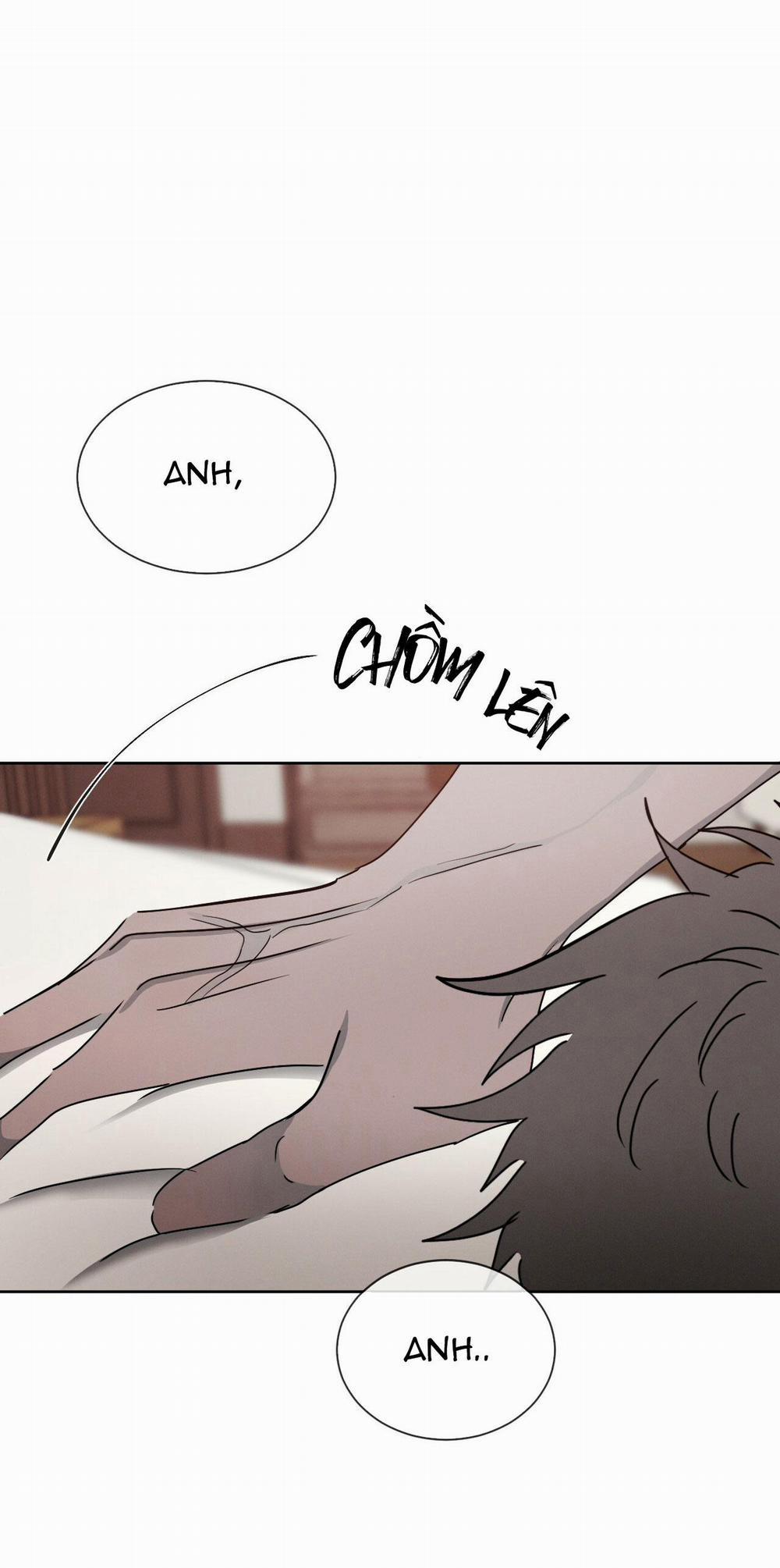 Tương Phản 4 trang 51