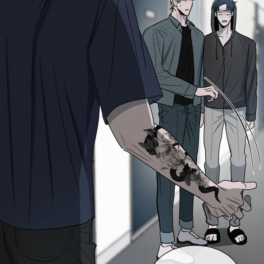 Tương Phản 5 trang 118