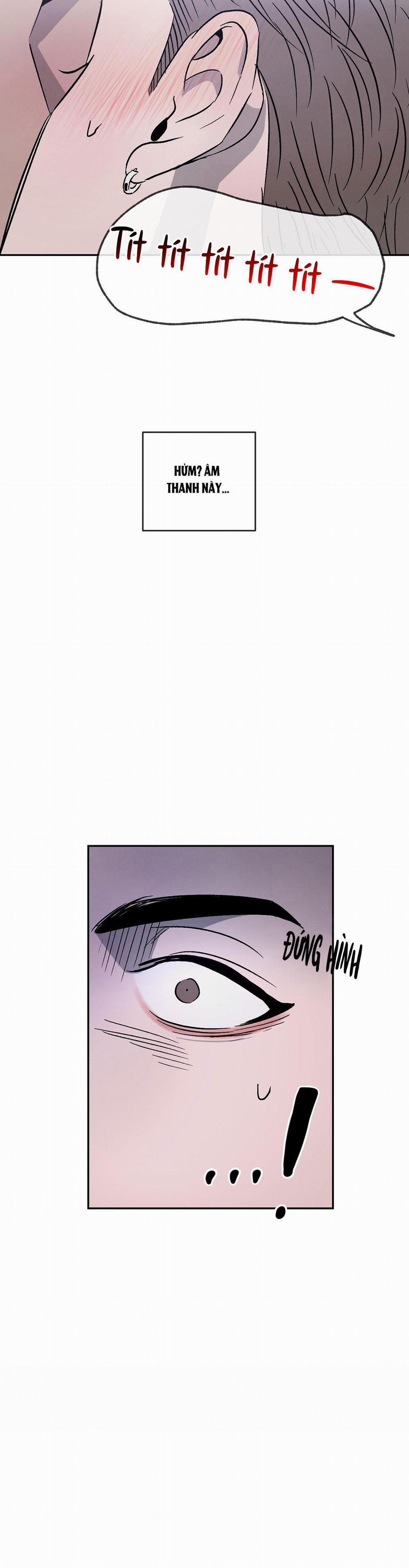 Tương Phản 54 trang 37