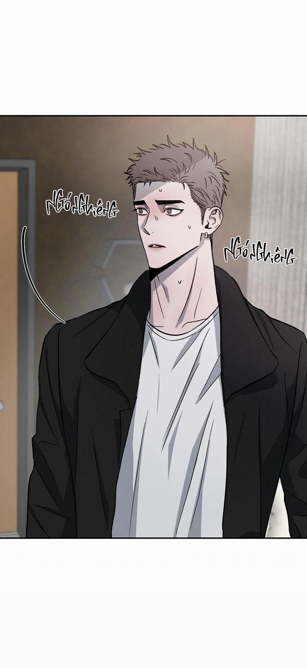Tương Phản 56 trang 19