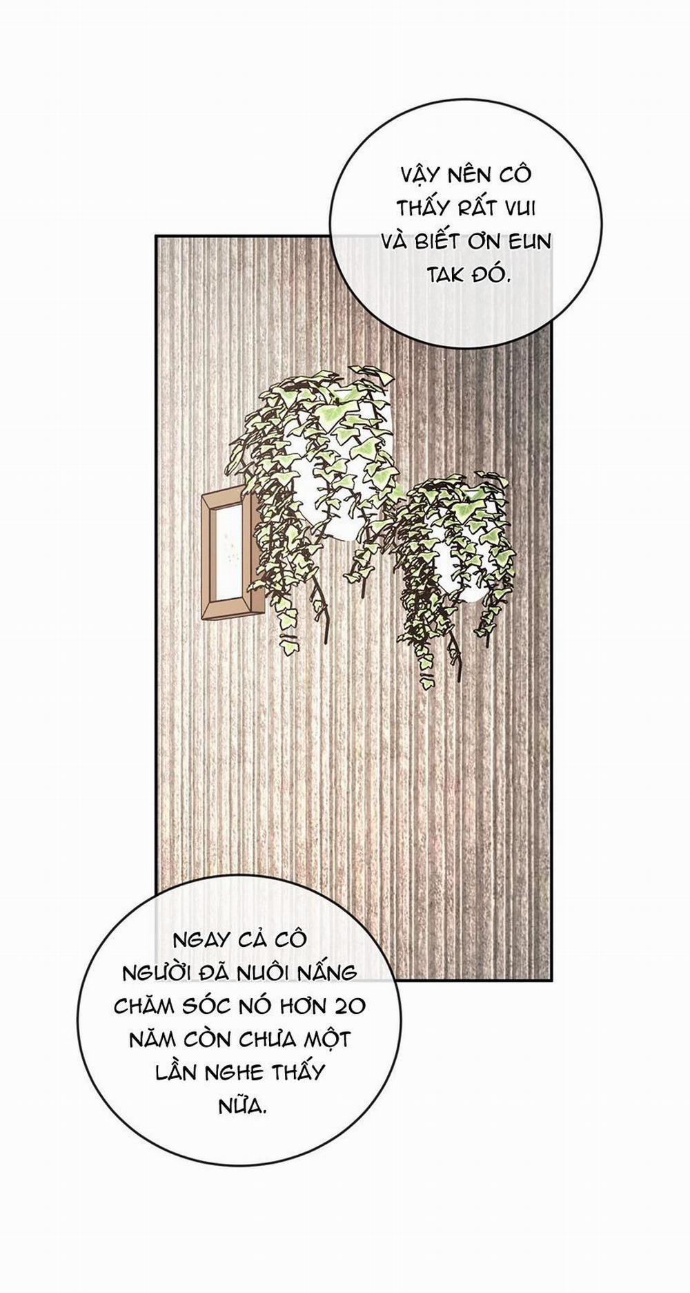 Tương Phản 56 trang 43