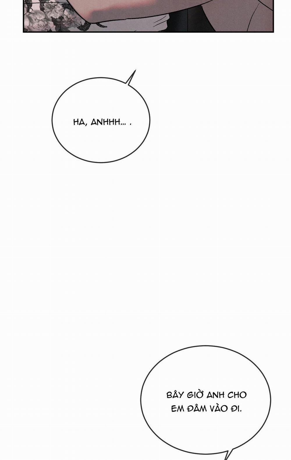 Tương Phản 61 trang 37