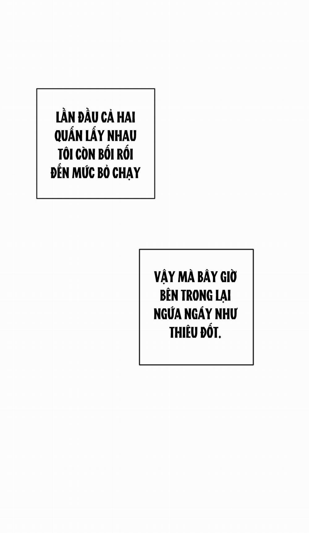 Tương Phản 62.1 trang 11