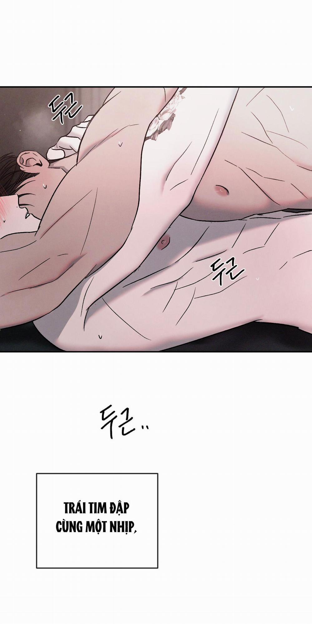 Tương Phản 62.1 trang 16