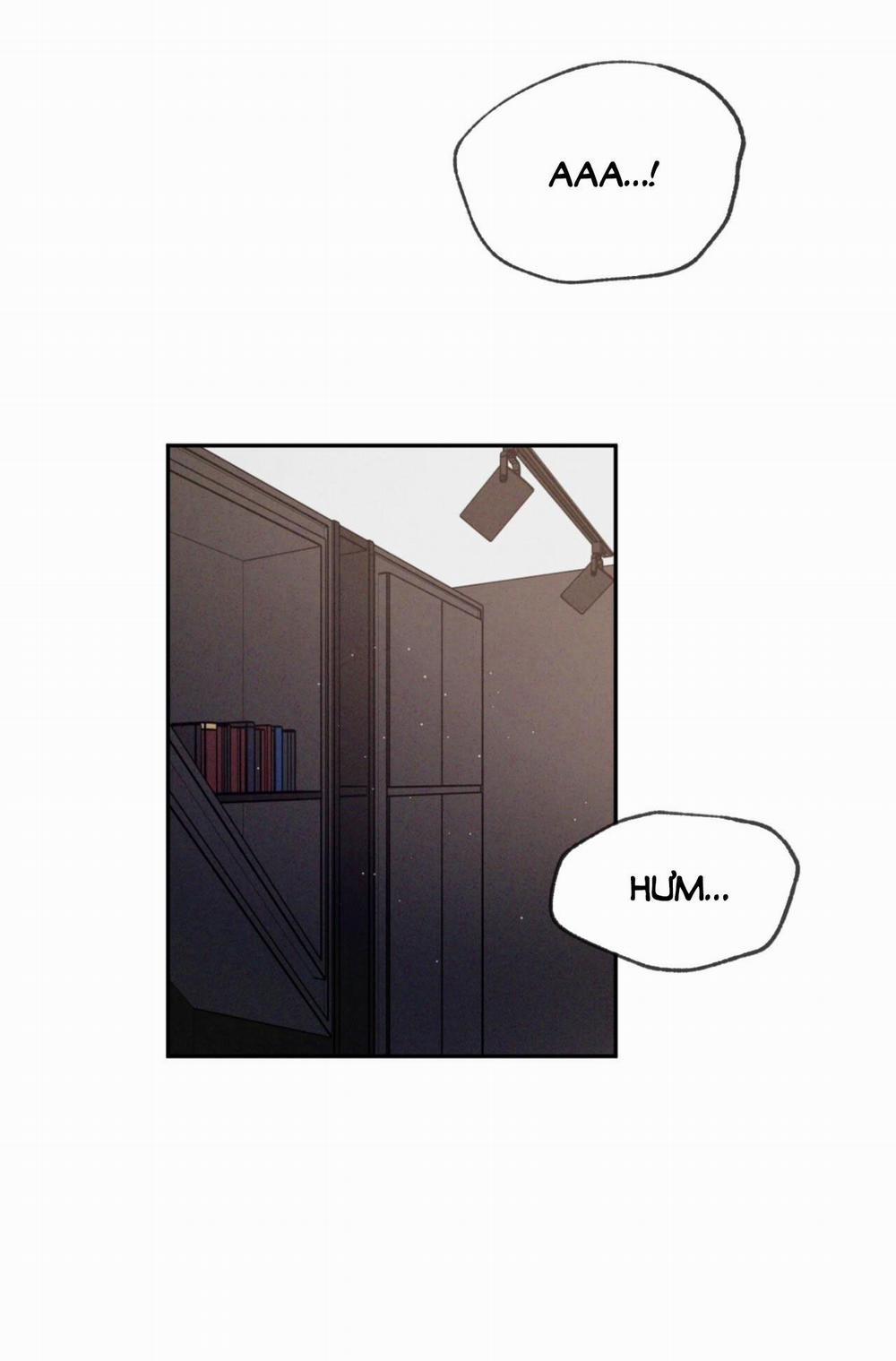 Tương Phản 62.2 trang 33