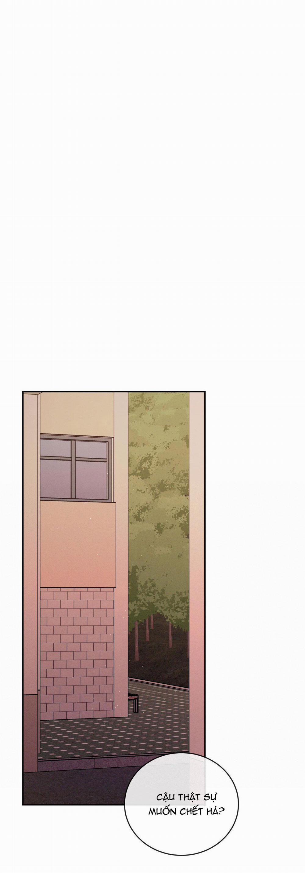 Tương Phản 66 trang 38