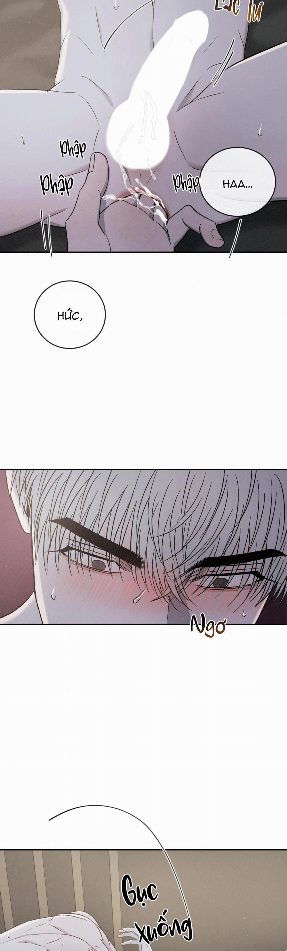 Tương Phản 68 trang 28