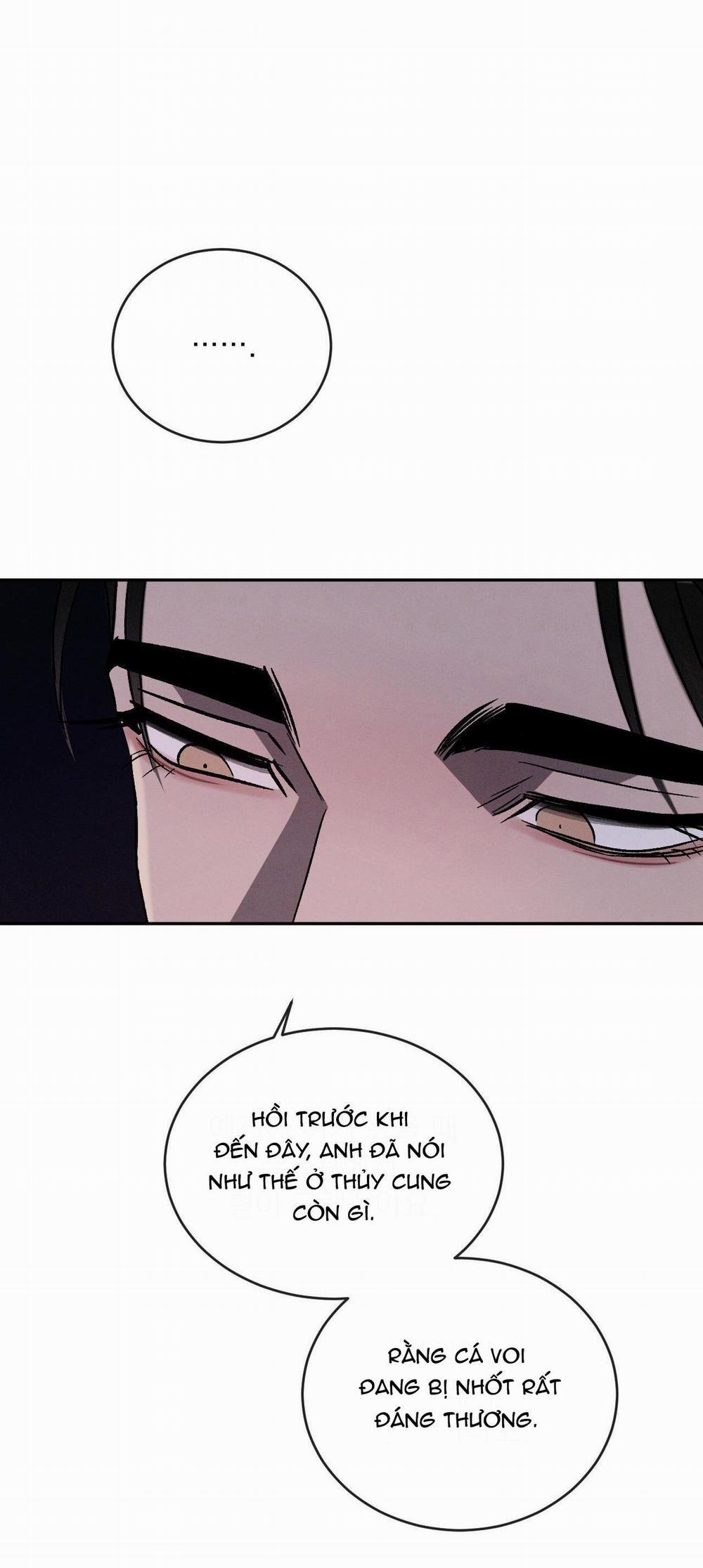 Tương Phản 70 trang 53