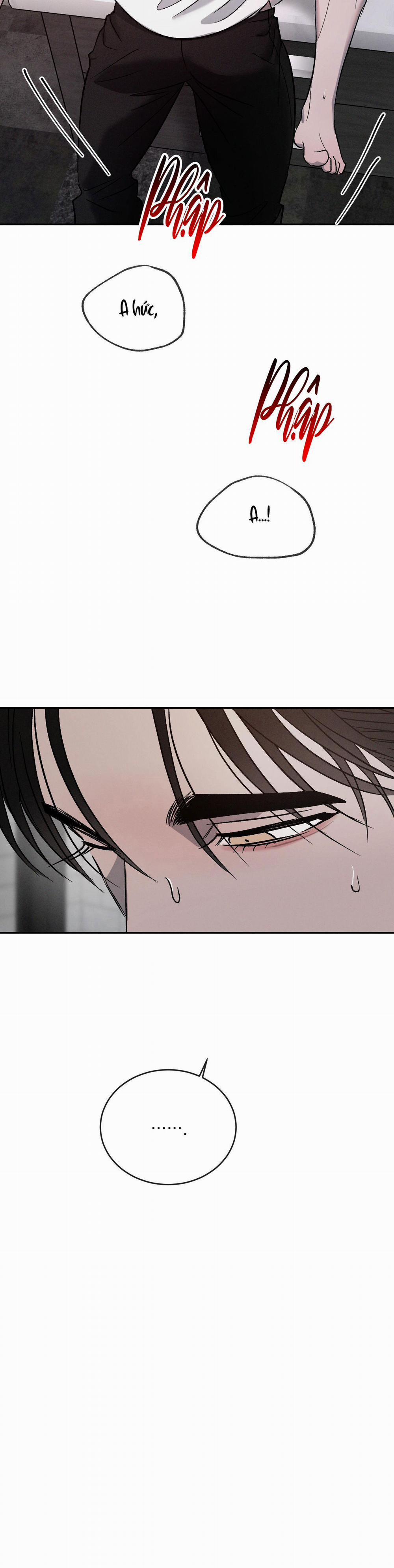 Tương Phản 71 trang 17