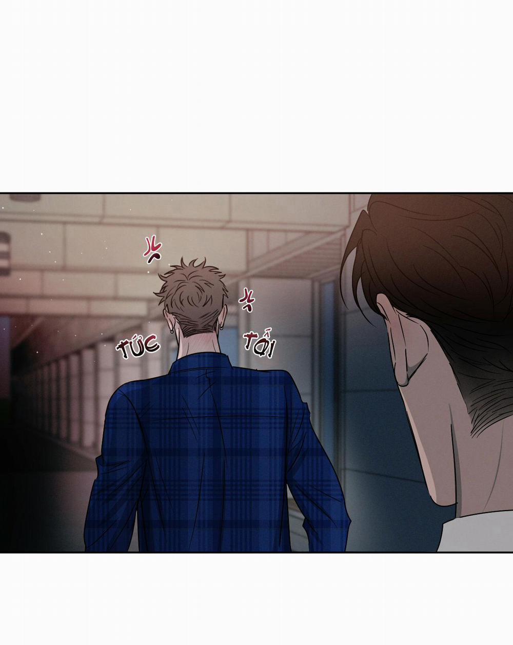 Tương Phản 8 trang 13