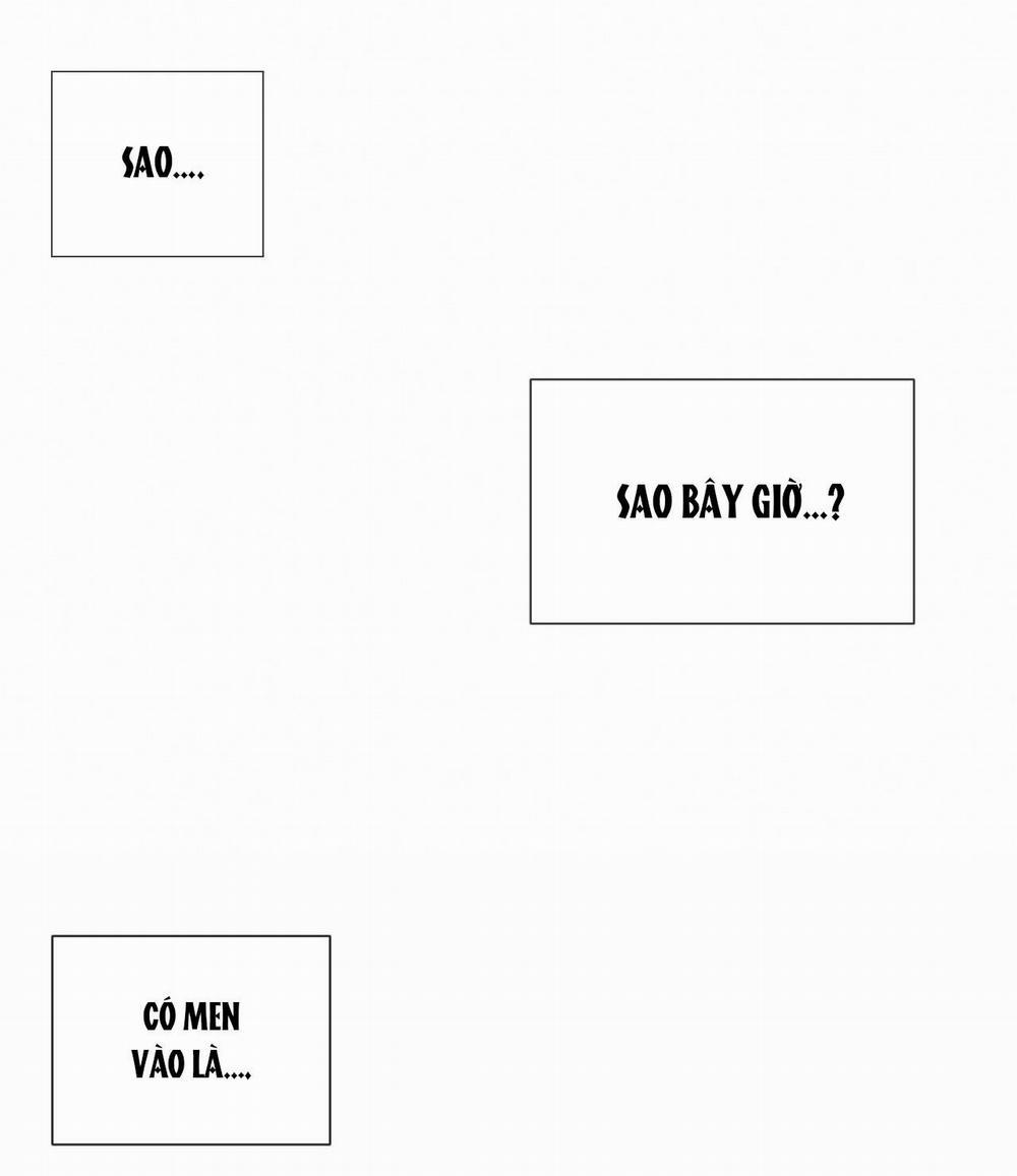 Tương Phản 8 trang 17