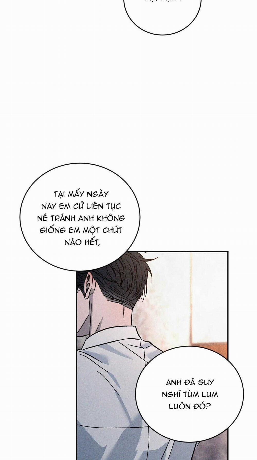 Tương Phản 92 trang 61